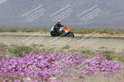 media/Feb-04-2023-SoCal Trackdays (Sat) [[8a776bf2c3]]/Turn 15 Inside Blooming (1050am)/